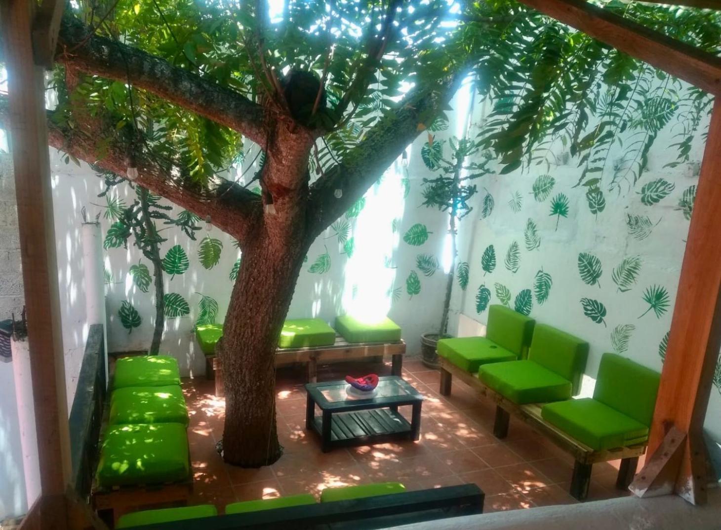 Posada Casa Antigua Tecolutla Εξωτερικό φωτογραφία